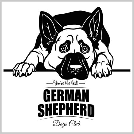 German Shepherd - vector illustration for t-shirt, logo and template badgesのイラスト素材