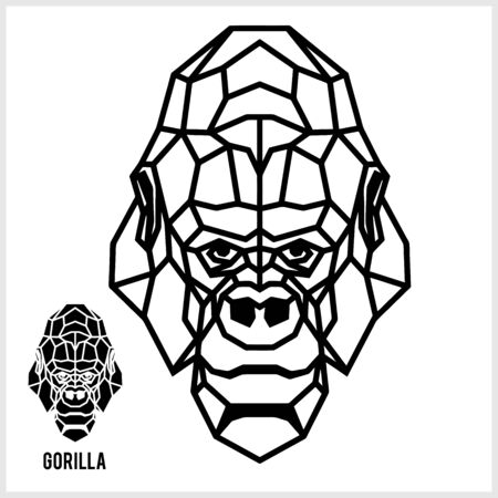 Abstract linear polygonal head of a gorilla. Vector.のイラスト素材