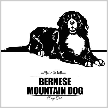 Bernese Mountain Dog - vector illustration for t-shirt, logo and template badgesのイラスト素材