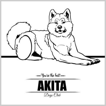 Akita Dog - vector illustration for t-shirt, logo and template badgesのイラスト素材