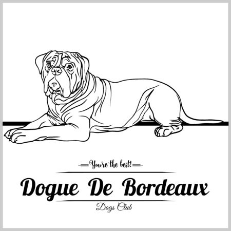 Dogue De Bordeaux - vector illustration for t-shirt, logo and template badgesのイラスト素材