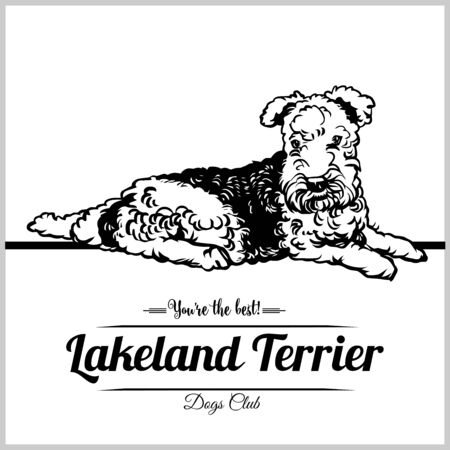 Lakeland Terrier Dog - vector illustration for t-shirt, logo and template badgesのイラスト素材