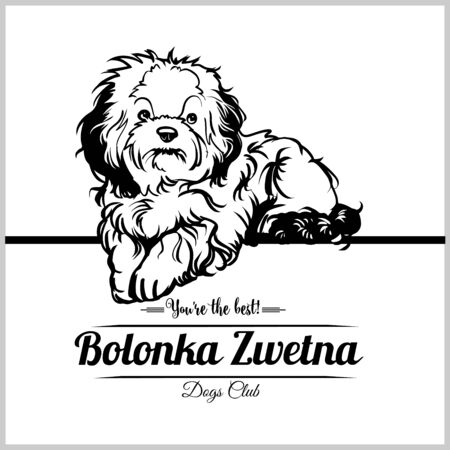 Bolonka Zwetna Dog - vector illustration for t-shirt, logo and template badgesのイラスト素材