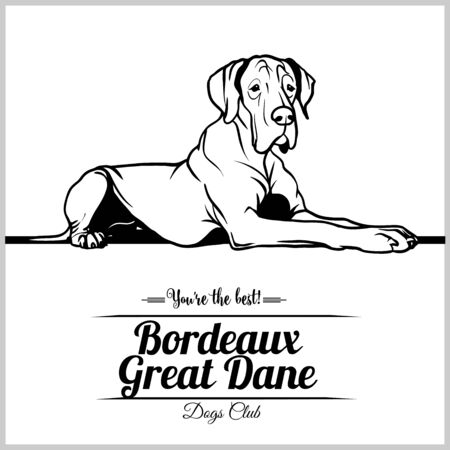 Bordeaux Great Dane Dog - vector illustration for t-shirt, logo and template badgesのイラスト素材