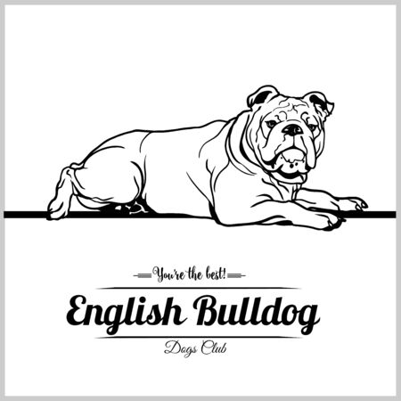 English Bulldog Dog - vector illustration for t-shirt, logo and template badgesのイラスト素材