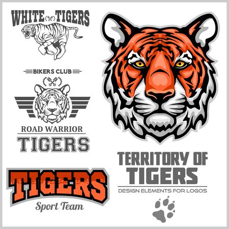 Tiger Set - Vector elements for sport team and logo. Vector illustration for t-shirt and badgesのイラスト素材