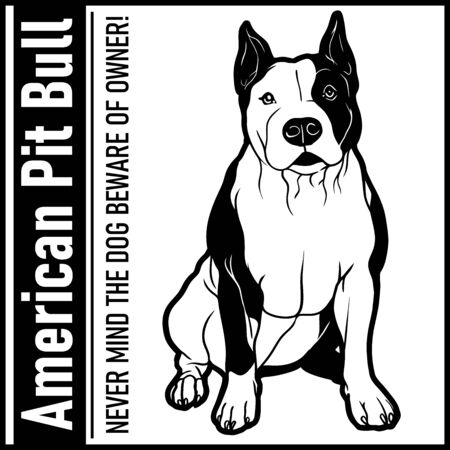 American Pit Bull sits in full growth - breed face head isolated on whiteのイラスト素材