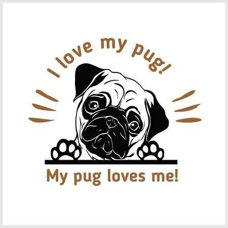 Peeking boxer dog headのイラスト素材