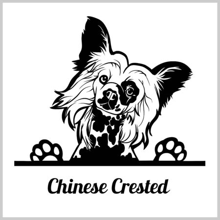 dog head, Chinese Crested breed, black and white illustrationのイラスト素材