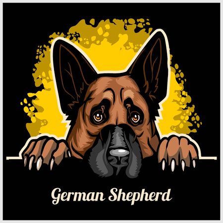 Color dog head, German Shepherd breed on black backgroundのイラスト素材