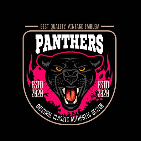 Panthers badge - vector vintage emblem on darkのイラスト素材