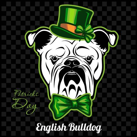 Head of a English Bulldog Dog and elements of St. Patricks Day. Vector illustration isolated on darkのイラスト素材