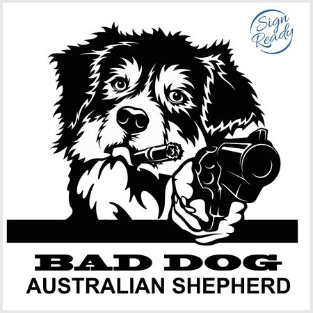 Australian Shepherd with guns - Australian Shepherd gangster.のイラスト素材