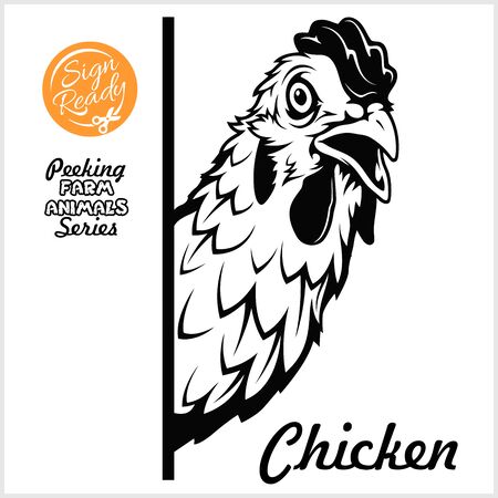 Peeking chicken - Cheerful chicken peeking out - face head isolated on white - vector stockのイラスト素材