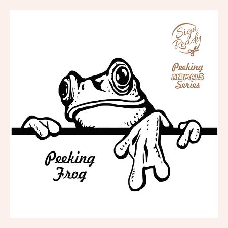 Peeking Frog - Funny Frog peeking out - face head isolated on whiteのイラスト素材