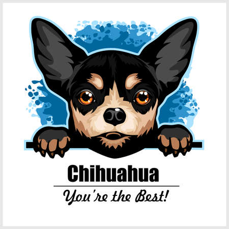 Chihuahua - Peeking Dogs - color illustration - breed face head isolated on white - vector stockのイラスト素材