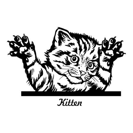 Funny kitten jumps out - Peeking Kitty - cat head isolated on whiteのイラスト素材