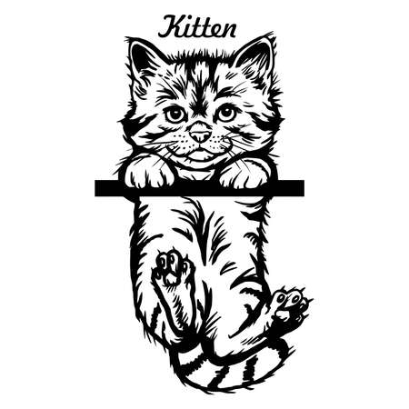 Cute kitten hanging on the line - Cheerful kitty isolated on white - vector stockのイラスト素材