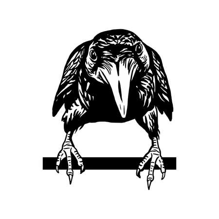 Cheeky crow isolated on white background. Raven Halloween character. Hand drawn sketch style vectorのイラスト素材