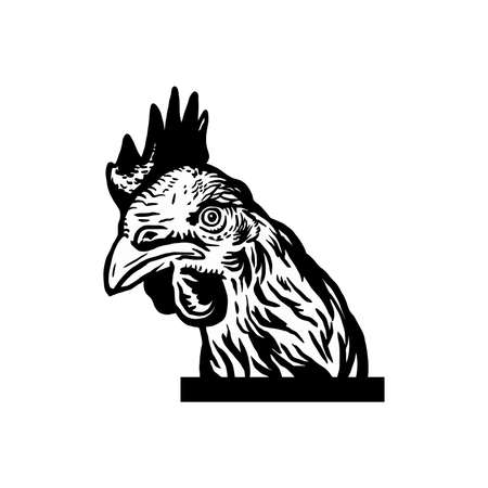 Curious chicken, vector sketch illustration design template. Engraved Chicken.のイラスト素材