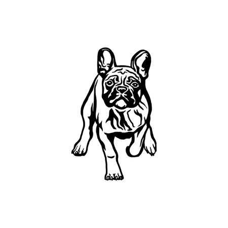 French Bulldog dog - vector isolated illustration on white backgroundのイラスト素材