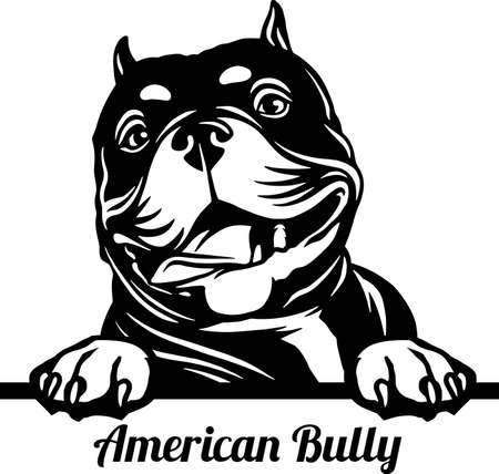 American Bully Peeking Dog - head isolated on whiteのイラスト素材