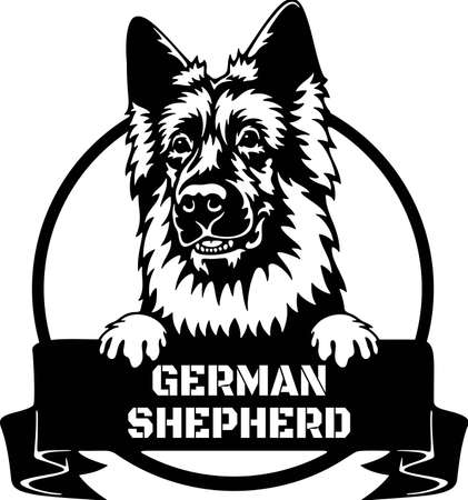 German Shepherd Peeking Dog - head isolated on whiteのイラスト素材