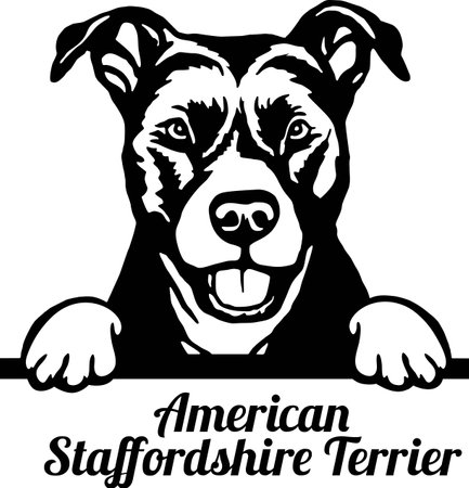 American Staffordshire Terrier Peeking Dog - head isolated on whiteのイラスト素材