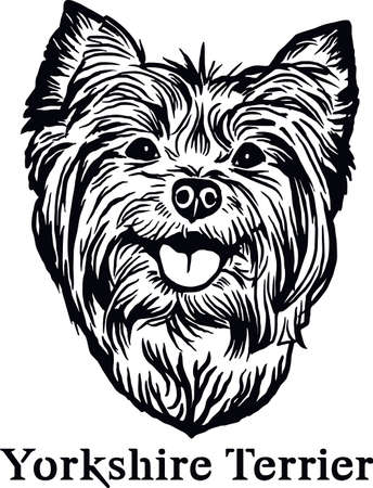 Yorkshire Terrier - Funny Dog, Vector File, Cut Stencil for Tshirtのイラスト素材
