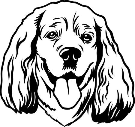 English Cocker Spaniel - Funny Dog, Vector File, Stencil for Tshirtのイラスト素材