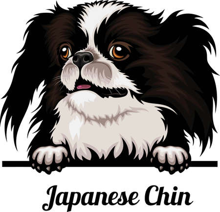 Japanese Chin - Color Peeking Dogs - dog breed. Color image of a dogs head isolated on a white backgroundのイラスト素材