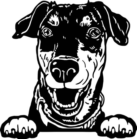 German Pinscher - Funny Dog, Vector File, Cut Stencil for Tshirtのイラスト素材