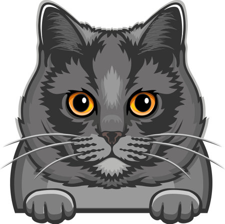 British Shorthair Cat Color Vector, Peeking Cats, Cats Breed, Pet Vector portrait, Cats Headのイラスト素材