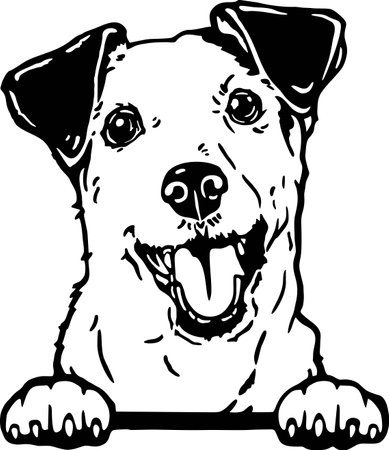 Jack Russell Terrier - Funny Dog, Vector File, Cut Stencil for Tshirtのイラスト素材