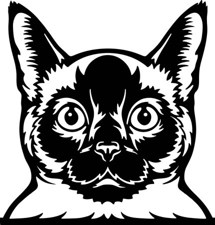 Siamese Cat Vector, Peeking Cats, Cats Breed, Pet Vector portrait, Cats Headのイラスト素材