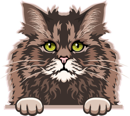 Selkirk Rex Cat Color Vector, Peeking Cats, Cats Breed, Pet Vector portrait, Cats Headのイラスト素材