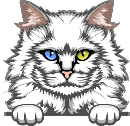 Turkish Angora Cat Color Vector, Peeking Cats, Cats Breed, Pet Vector portrait, Cats Headのイラスト素材