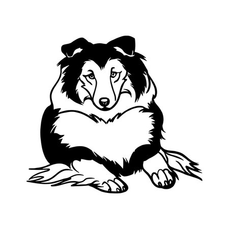 Shetland Sheepdog dog - Lying dog vector stock isolated illustration on white background.のイラスト素材