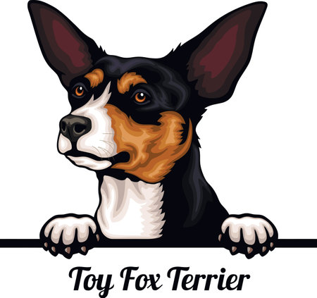 Toy For Terrier - Color Peeking Dogs - breed face head isolated on whiteのイラスト素材