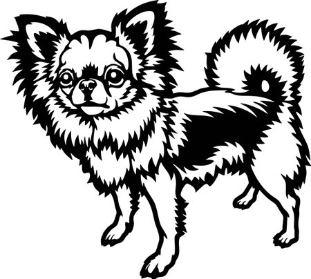 Funny Long Haired Chihuahua - Dog Breed, Funny dog Vector File, detailed vectorのイラスト素材