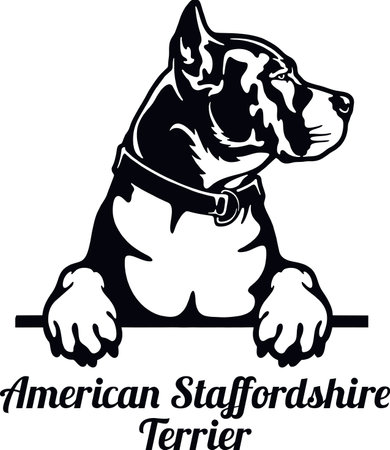 American Staffordshire Terrier - Color Peeking Dogs - breed face head isolated on whiteのイラスト素材