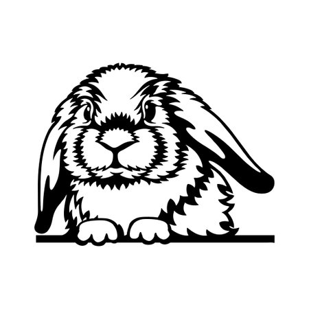 Peeking bunny - Funny Farm Animal - Animal Stencil Cut Filesのイラスト素材