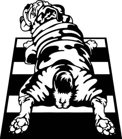 Relaxing English Bulldog - Funny Dog - Pet Dog Vector Clipart, Dog Silhouette Stencilのイラスト素材