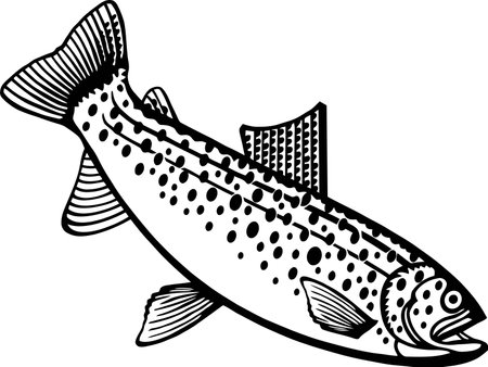 Silver Trout - American Fishes - Logo Fishのイラスト素材