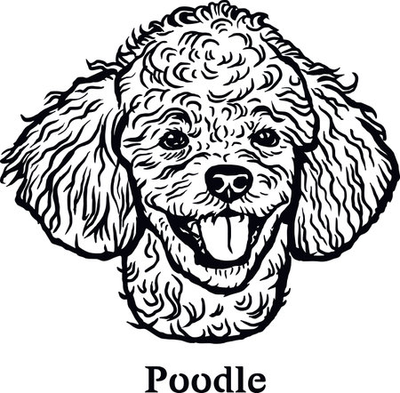 Poodle - Funny Dog, Vector File, Cut Stencil for Tshirtのイラスト素材