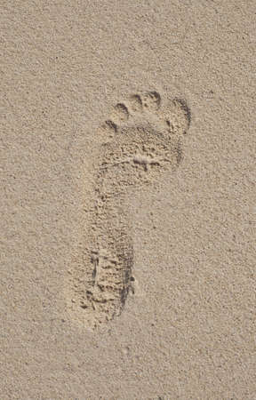Footprints in the sandの写真素材