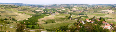 Panoramic landscape Langhe vineyards. Springtime.の写真素材