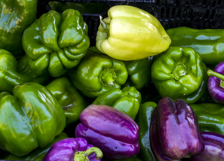 Green and Purple Peppers at a farmers marketの写真素材