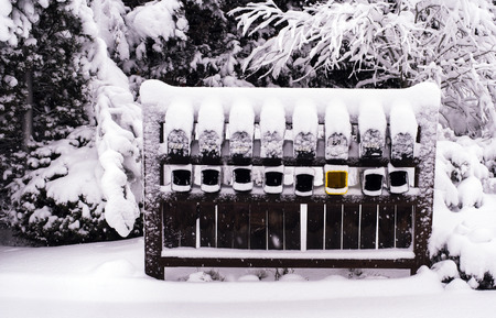 Multiple mailboxes covered in snow. One yellow paper box standands out with color.の写真素材