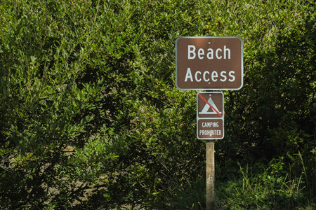 Beach Access No Camping sign at beginning of trail to the beach at Arcadia Beach state Recreation Site..の写真素材